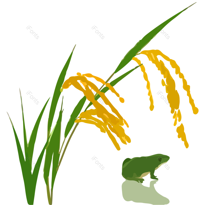 青蛙图片,卡通青蛙元素,植物PNG,免抠素材
